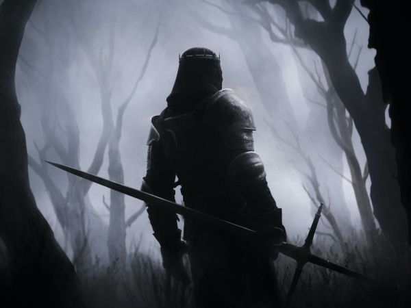 warrior, forest, sword Wallpaper 800x600