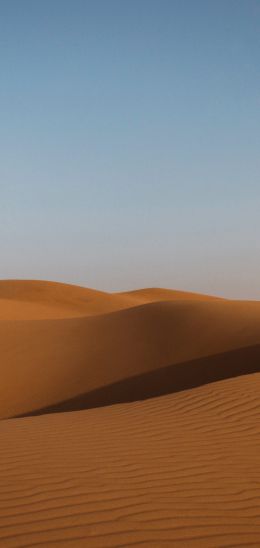 desert, United Arab Emirates Wallpaper 720x1520
