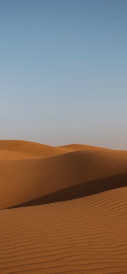 desert, United Arab Emirates Wallpaper 1242x2688