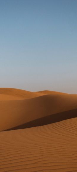 desert, United Arab Emirates Wallpaper 1080x2400