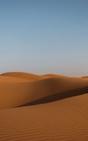 desert, United Arab Emirates Wallpaper 1752x2800