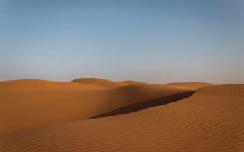 desert, United Arab Emirates Wallpaper 2560x1600