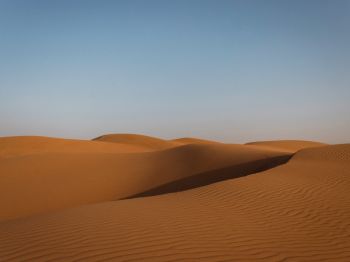 desert, United Arab Emirates Wallpaper 1024x768