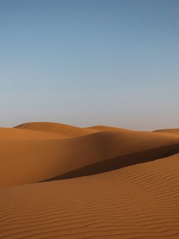Обои 1620x2160 пустыня, Объединенные Арабские Эмираты