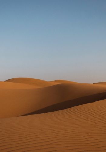 desert, United Arab Emirates Wallpaper 1668x2388
