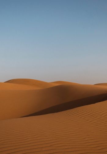 desert, United Arab Emirates Wallpaper 1640x2360
