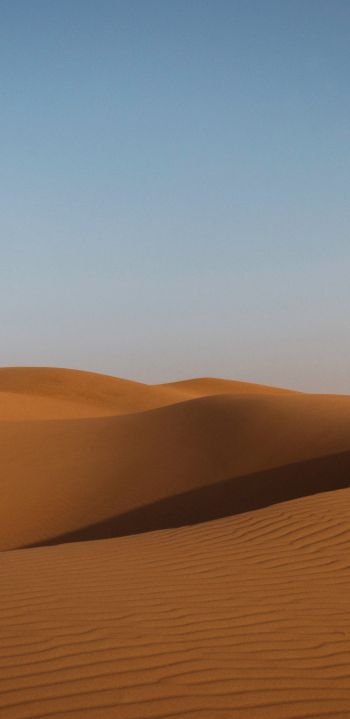 desert, United Arab Emirates Wallpaper 1440x2960