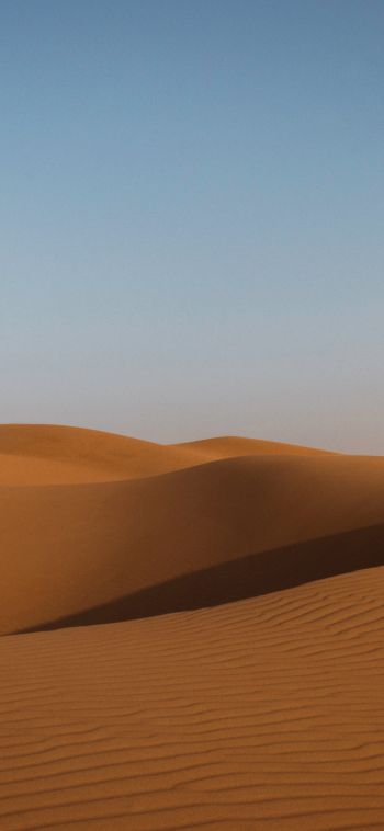 desert, United Arab Emirates Wallpaper 1080x2340