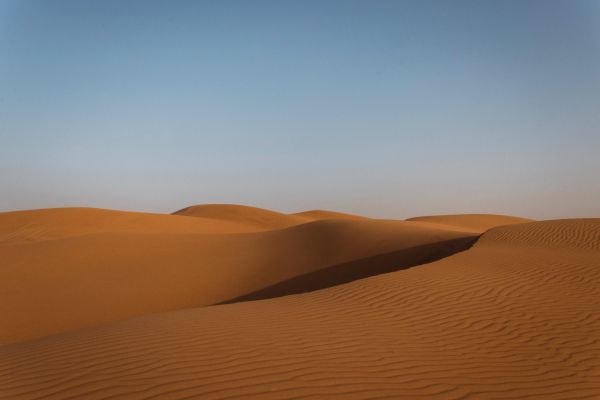desert, United Arab Emirates Wallpaper 6960x4640