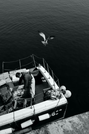 seagulls, sea, boat Wallpaper 640x960