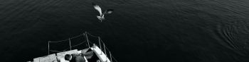 seagulls, sea, boat Wallpaper 1590x400