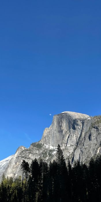 Yosemite National Park, mountain Wallpaper 720x1440