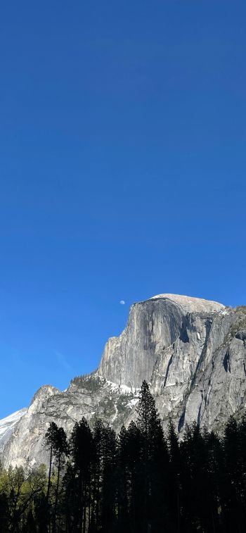 Обои 828x1792 Йосемитский национальный парк, гора