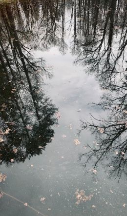 lake, ice, reflection Wallpaper 600x1024