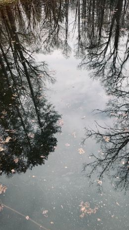 lake, ice, reflection Wallpaper 640x1136