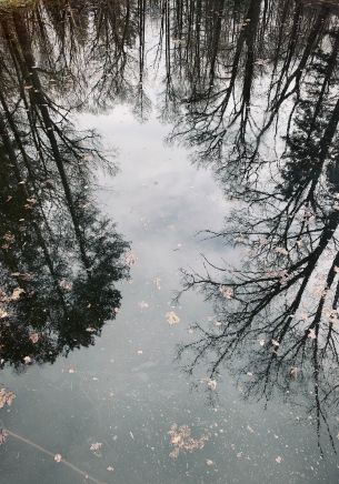 lake, ice, reflection Wallpaper 1668x2388