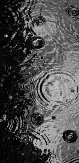 ripple, puddle, water droplets Wallpaper 1080x2220