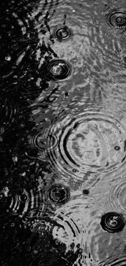 ripple, puddle, water droplets Wallpaper 1440x3040