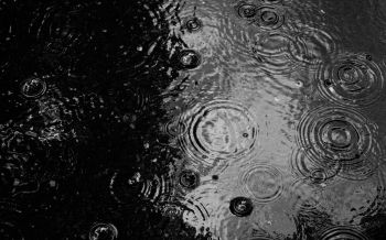ripple, puddle, water droplets Wallpaper 1920x1200
