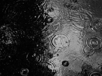 ripple, puddle, water droplets Wallpaper 1024x768