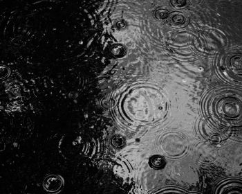 ripple, puddle, water droplets Wallpaper 1280x1024