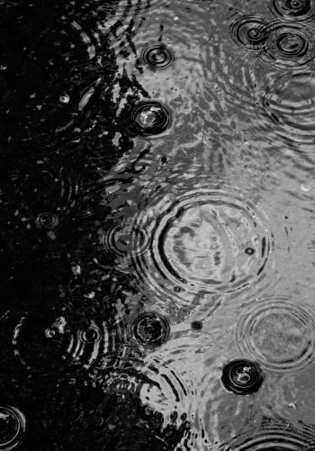 ripple, puddle, water droplets Wallpaper 1668x2388