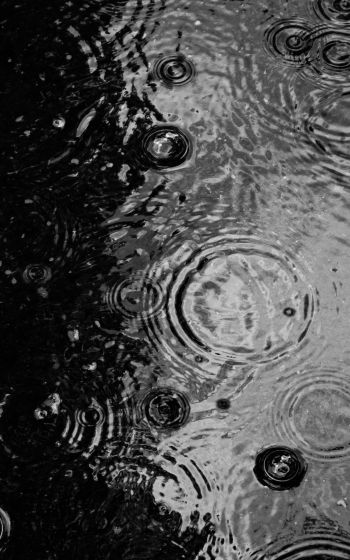 ripple, puddle, water droplets Wallpaper 1600x2560