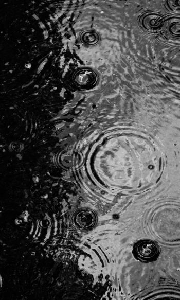 ripple, puddle, water droplets Wallpaper 1200x2000