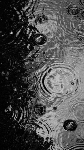 ripple, puddle, water droplets Wallpaper 1080x1920