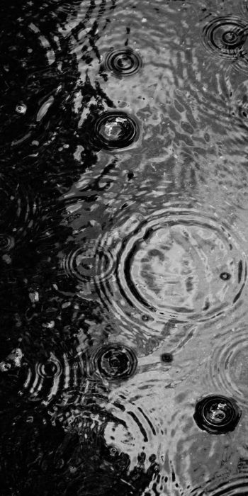 ripple, puddle, water droplets Wallpaper 720x1440