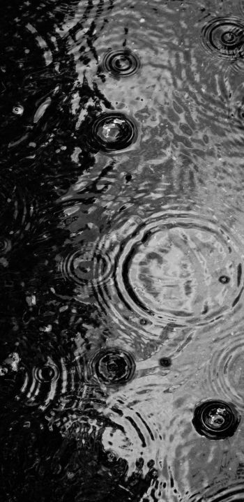 ripple, puddle, water droplets Wallpaper 1440x2960