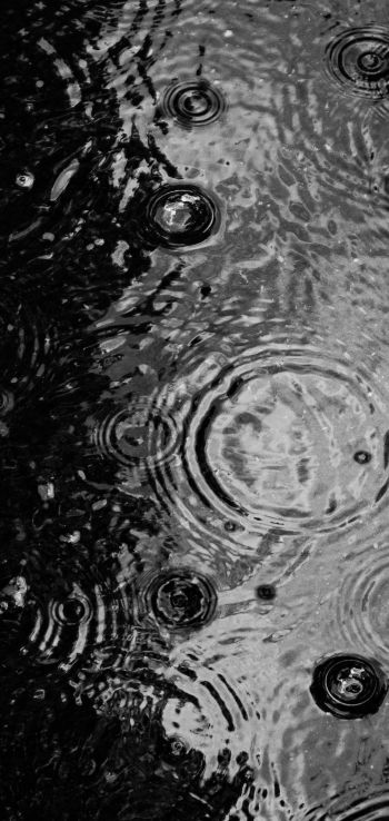 ripple, puddle, water droplets Wallpaper 1080x2280