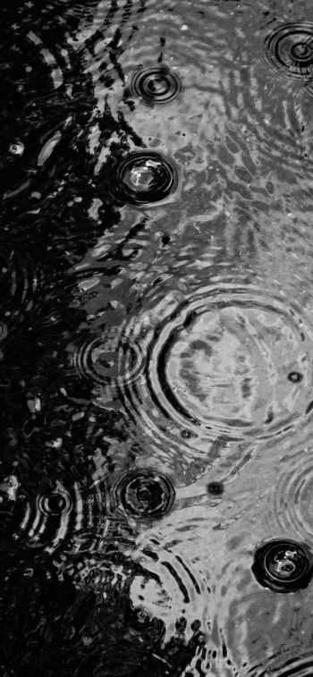 ripple, puddle, water droplets Wallpaper 828x1792