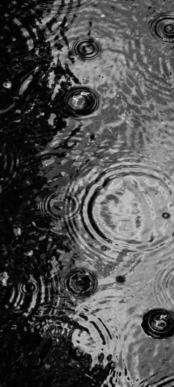 ripple, puddle, water droplets Wallpaper 1440x3200