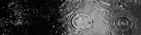 ripple, puddle, water droplets Wallpaper 1590x400