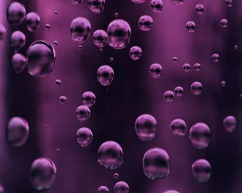 bubbles, liquid Wallpaper 1280x1024
