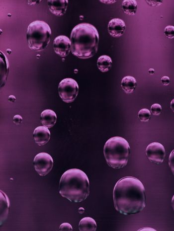 bubbles, liquid Wallpaper 2048x2732
