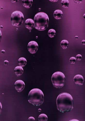 bubbles, liquid Wallpaper 1668x2388