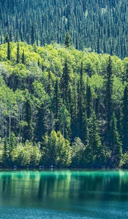 lake, Canada Wallpaper 600x1024