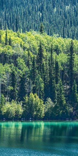 lake, Canada Wallpaper 720x1440