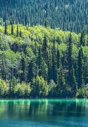 lake, Canada Wallpaper 1668x2388