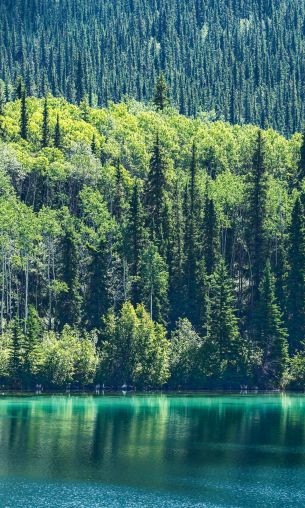 lake, Canada Wallpaper 1200x2000