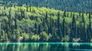 Обои 1600x900 озеро, Канада