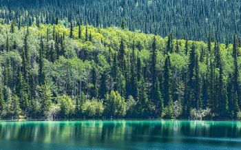 Обои 2560x1600 озеро, Канада