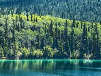 Обои 800x600 озеро, Канада