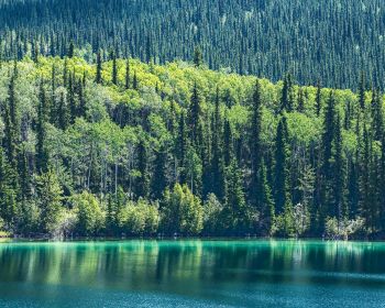 Обои 1280x1024 озеро, Канада