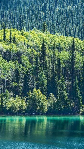 lake, Canada Wallpaper 1080x1920
