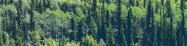 lake, Canada Wallpaper 1590x400