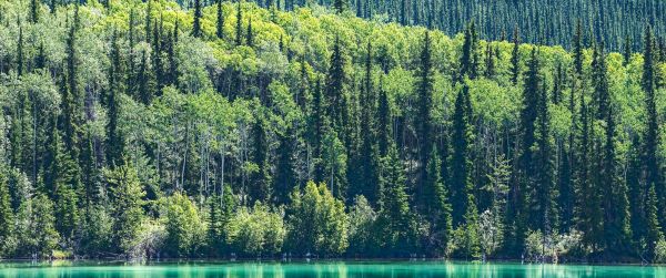 lake, Canada Wallpaper 3440x1440