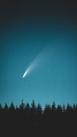 Oregon, USA, night, forest Wallpaper 640x1136